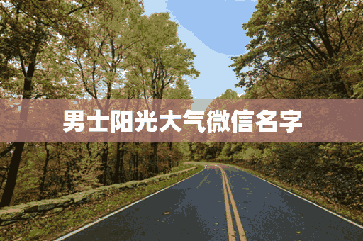 男士阳光大气微信名字(男士阳光大气微信名字大全)